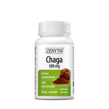 Chaga - 500 mg Chaga - 500 mg